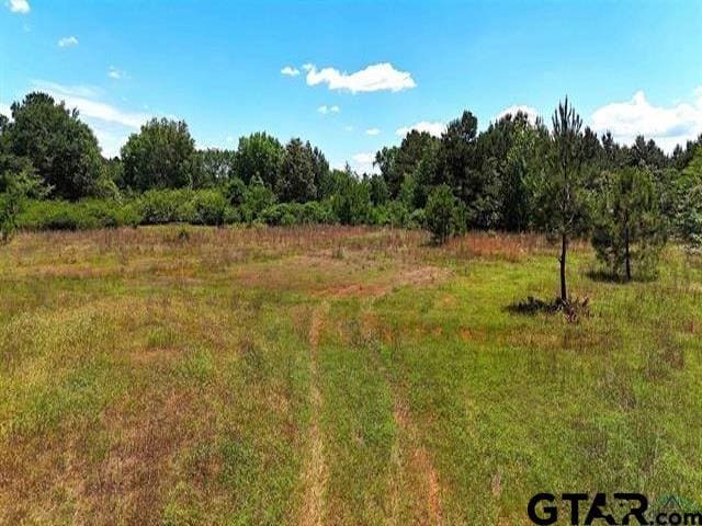 TBD Cr 2142, Tatum, TX 75691 - photo 10