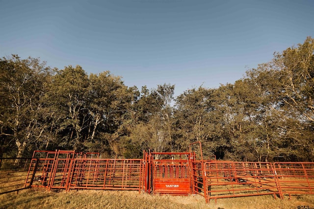 8235 E Fm 227, Grapeland, TX 75844