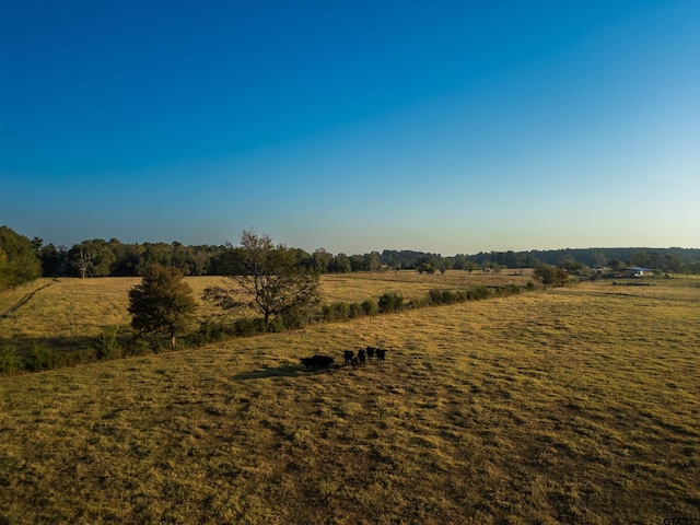 8235 E Fm 227, Grapeland, TX 75844
