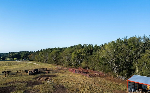 8235 E Fm 227, Grapeland, TX 75844