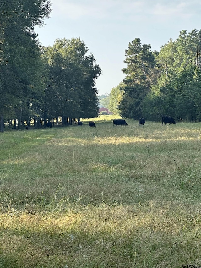 8235 E Fm 227, Grapeland, TX 75844