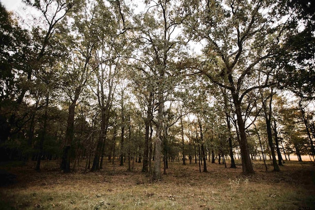 8235 E Fm 227, Grapeland, TX 75844