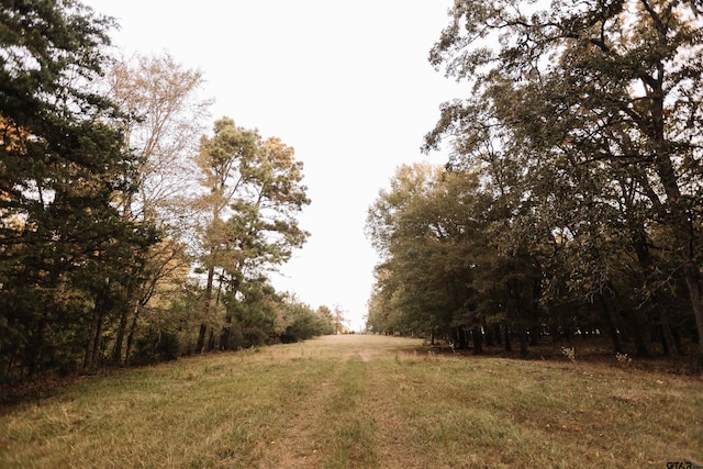 8235 E Fm 227, Grapeland, TX 75844