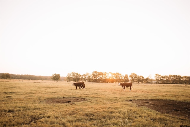 8235 E Fm 227, Grapeland, TX 75844