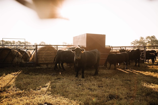 8235 E Fm 227, Grapeland, TX 75844