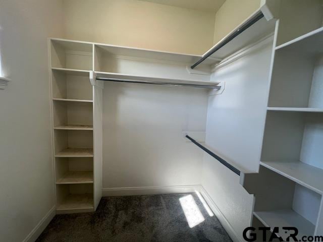 walk in closet featuring dark colored carpet