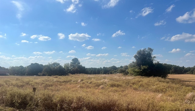 2777 Fm 346 N, Bullard TX, 75757 land for sale