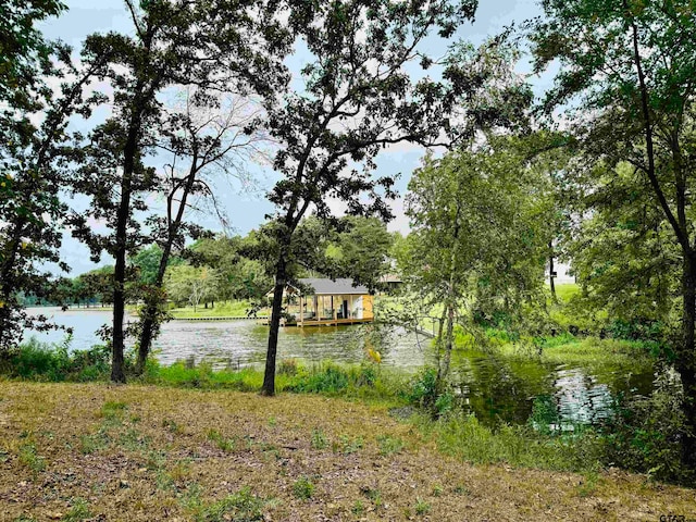 Listing photo 3 for TBD Bass Creek Trl, Mount Pleasant TX 75455