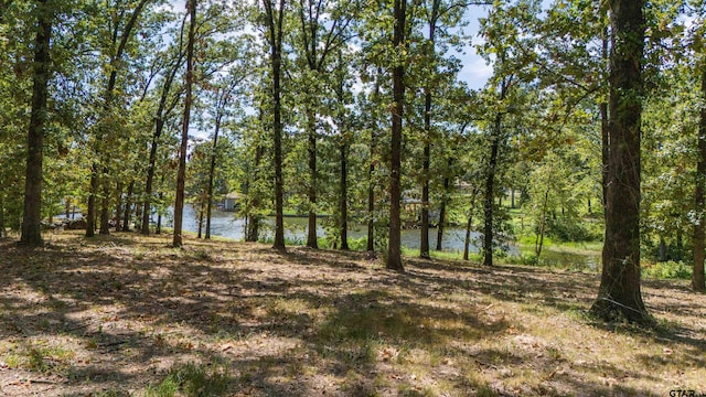 TBD Bass Creek Trl, Mount Pleasant TX, 75455 land for sale