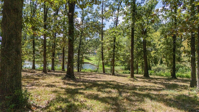 Listing photo 2 for TBD Bass Creek Trl, Mount Pleasant TX 75455