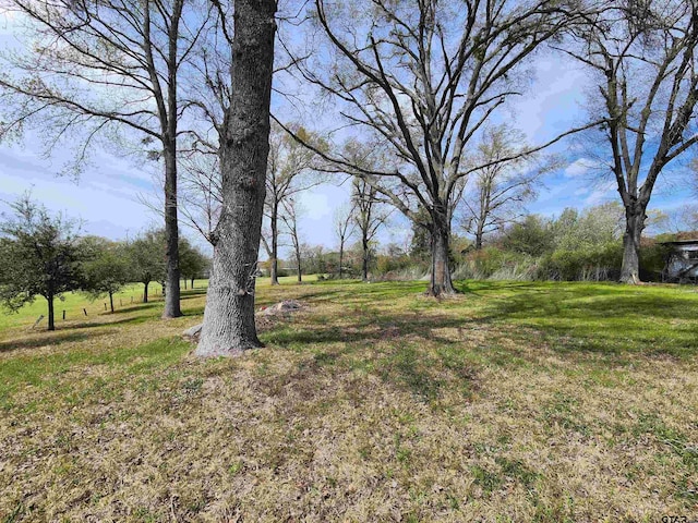 105 Easy St, Palestine, TX 75801