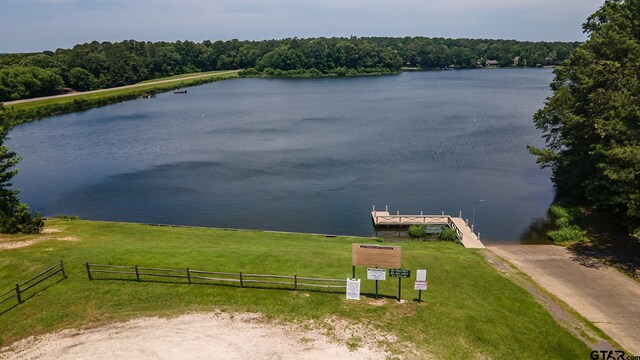 201 Elmwood Ln, Holly Lake Ranch, TX 75765 - photo 27