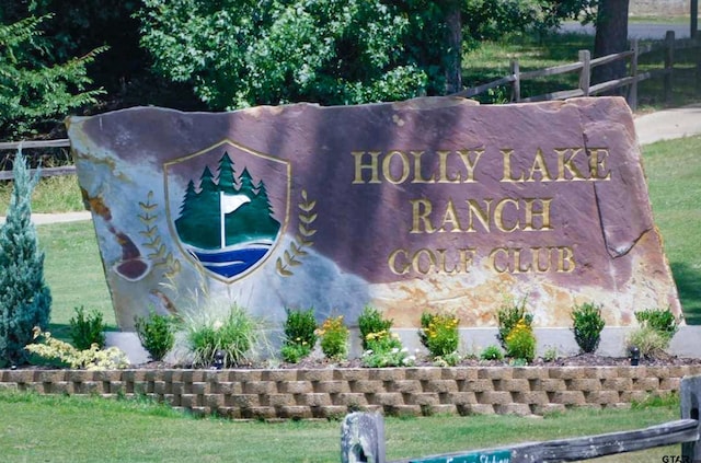 201 Elmwood Ln, Holly Lake Ranch, TX 75765 - photo 26