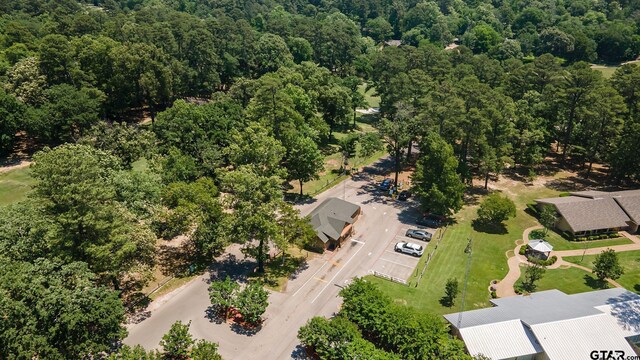 201 Elmwood Ln, Holly Lake Ranch, TX 75765 - photo 30