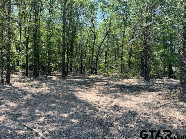 TBD County Road 3925, Mount Pleasant, TX 75455