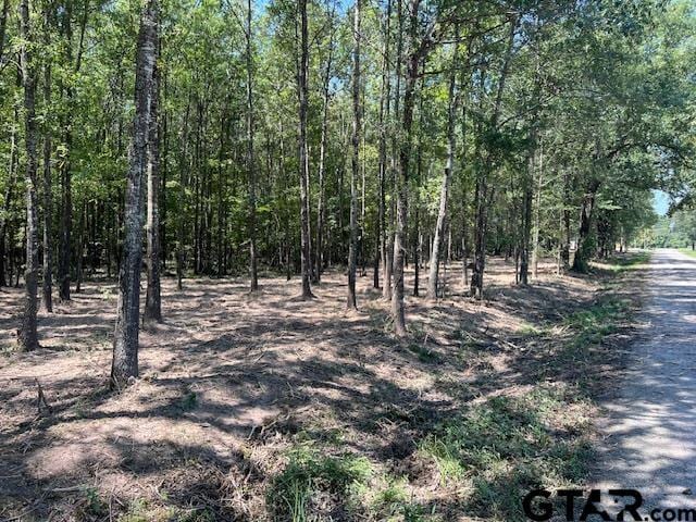 TBD County Road 3925, Mount Pleasant, TX 75455