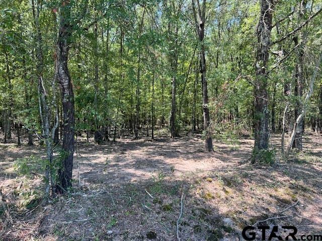 TBD County Road 3925, Mount Pleasant, TX 75455
