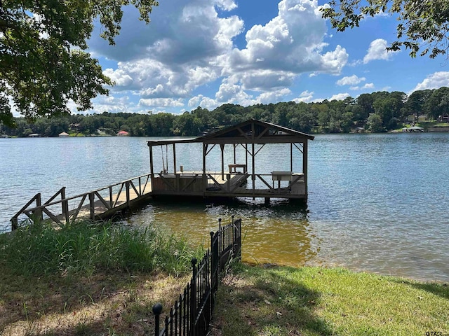 dock area with a water view