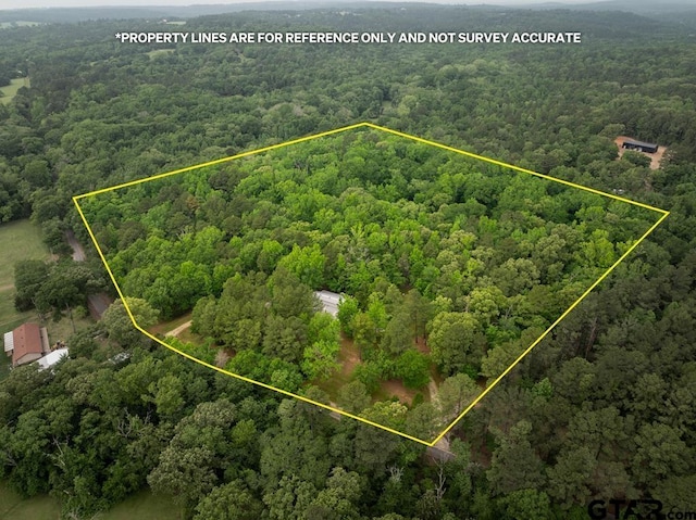 127 An County Road 4480, Palestine, TX 75803 - photo 37