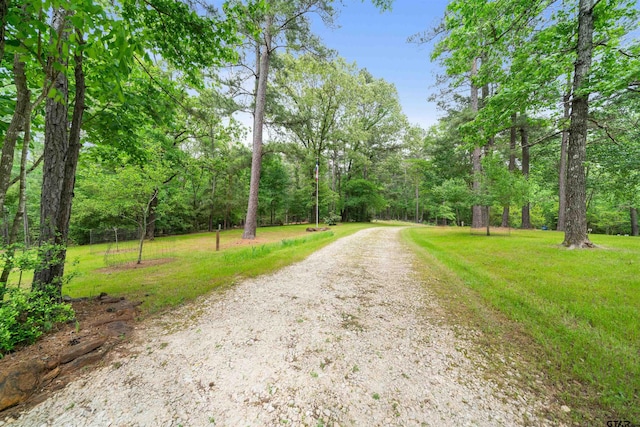 127 An County Road 4480, Palestine, TX 75803 - photo 34