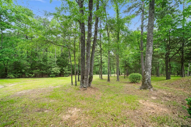 127 An County Road 4480, Palestine, TX 75803 - photo 30