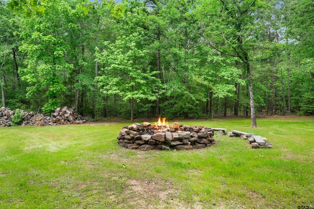 127 An County Road 4480, Palestine, TX 75803 - photo 35