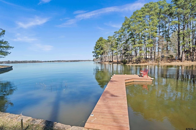 dock area with a water view