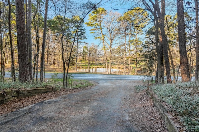 view of road with a water view