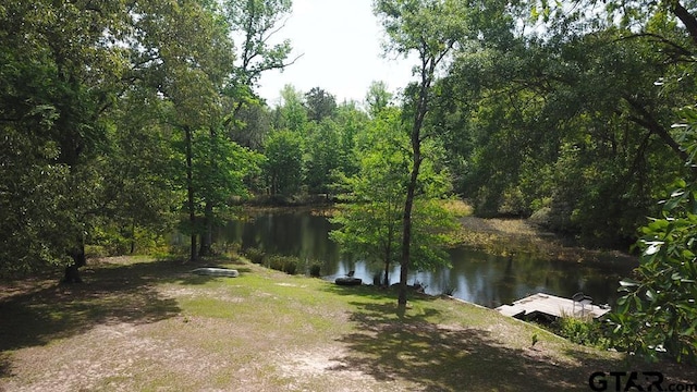 350 An County Road 3582, Palestine, TX 75803 - photo 8