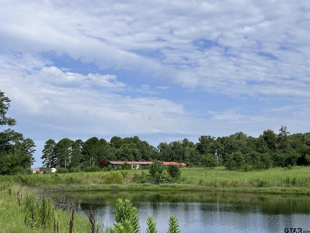 2092 Fm 21, Pittsburg, TX 75686 - photo 10