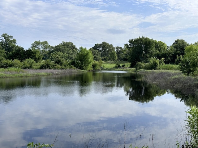 2092 Fm 21, Pittsburg, TX 75686 - photo 6
