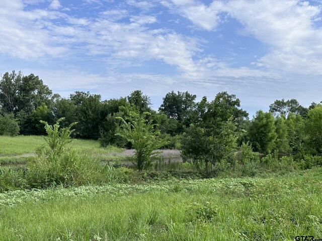 2092 Fm 21, Pittsburg, TX 75686 - photo 8