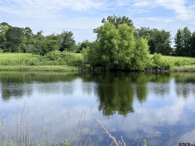 2092 Fm 21, Pittsburg, TX 75686 - photo 1