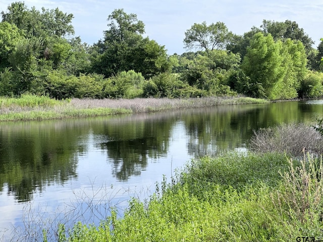 2092 Fm 21, Pittsburg, TX 75686 - photo 7