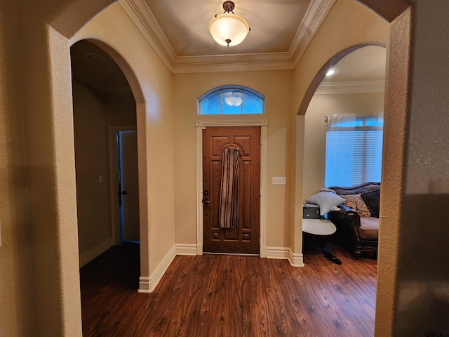 foyer with ornamental molding and dark hardwood / wood-style flooring