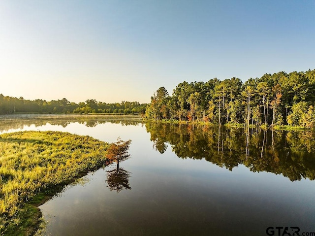 LOT41 Fm 2015, Tyler, TX 75708 - photo 14