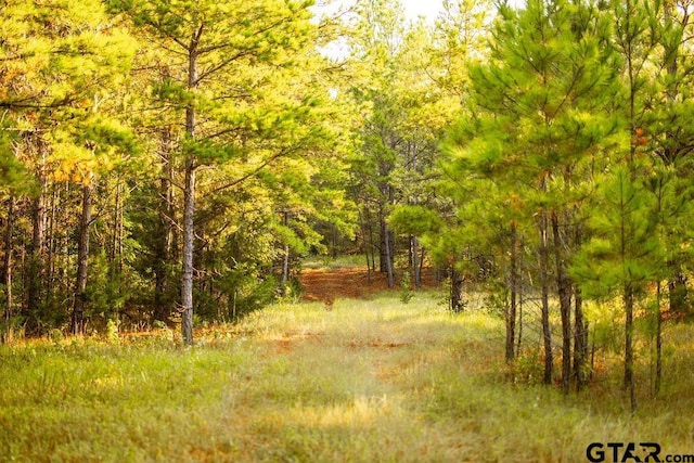 LOT41 Fm 2015, Tyler, TX 75708 - photo 8