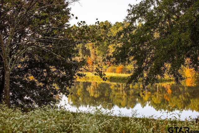 LOT41 Fm 2015, Tyler, TX 75708 - photo 3