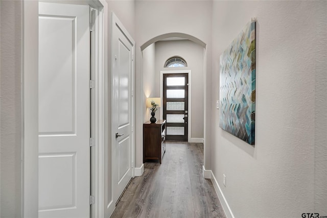 hallway featuring wood-type flooring