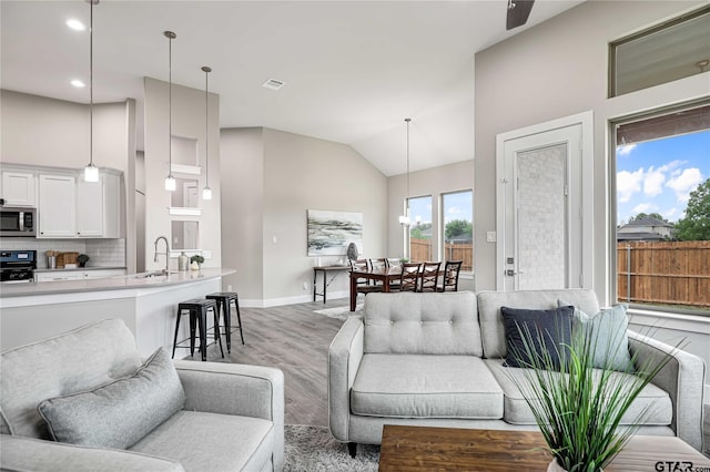 living room featuring sink, vaulted ceiling, and hardwood / wood-style flooring