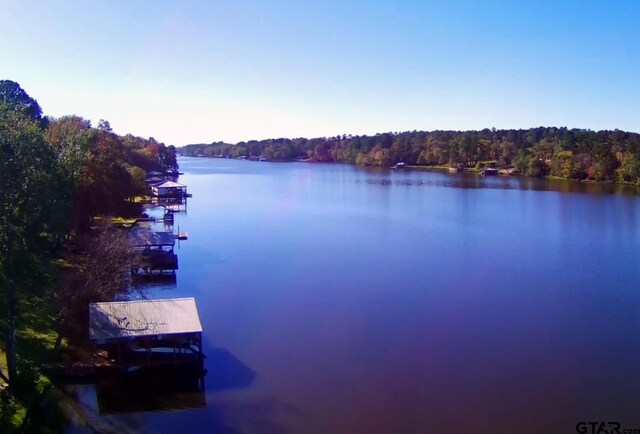 3073 E Lake Lake, Gladewater, TX 75647 - water view with a dock and a forest