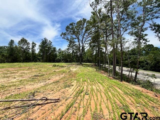 000 Fm 2767, Tyler TX, 75707 land for sale