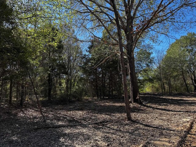 TRACTC337 Private Road 8507, Van, TX 75790