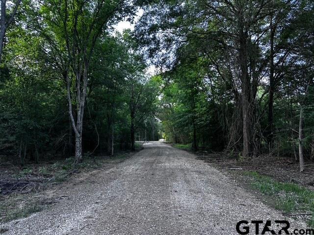 TRACTC337 Private Road 8507, Van, TX 75790