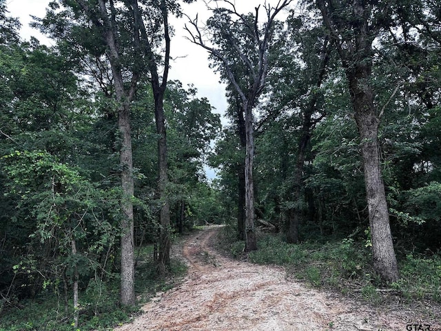 TRACTC337 Private Road 8507, Van, TX 75790