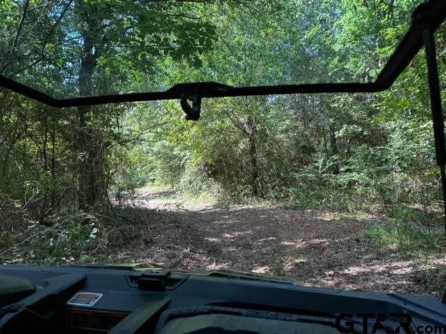 TRACTC337 Private Road 8507, Van, TX 75790 - photo 3