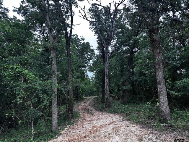 TRACTC337 Private Road 8507, Van, TX 75790