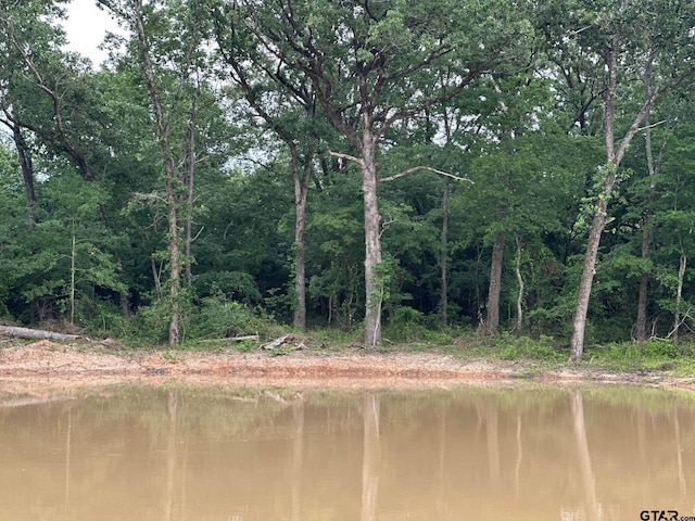 TRACTC337 Private Road 8507, Van, TX 75790