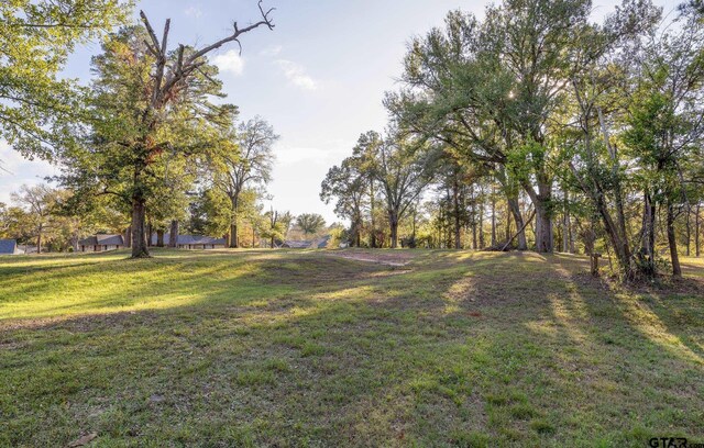 1920 Mcdonald Rd, Tyler, TX 75701