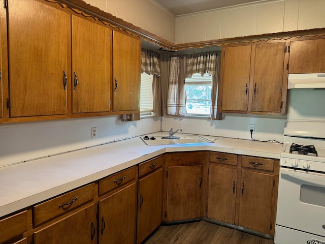 kitchen featuring dark wood-type flooring, sink, white gas range oven, and ornamental molding